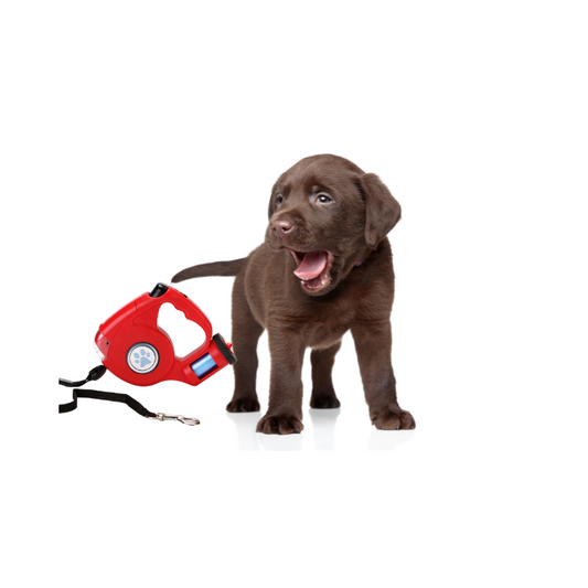 Versenkbare Hundeleine mit Taschenlampe Und Müllsack Lagerung